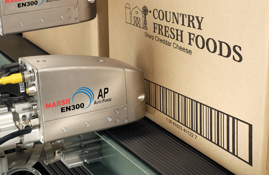 Máy in thùng MARSH 8000